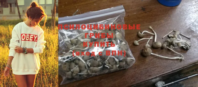 Псилоцибиновые грибы Magic Shrooms  цены наркотик  Алейск 